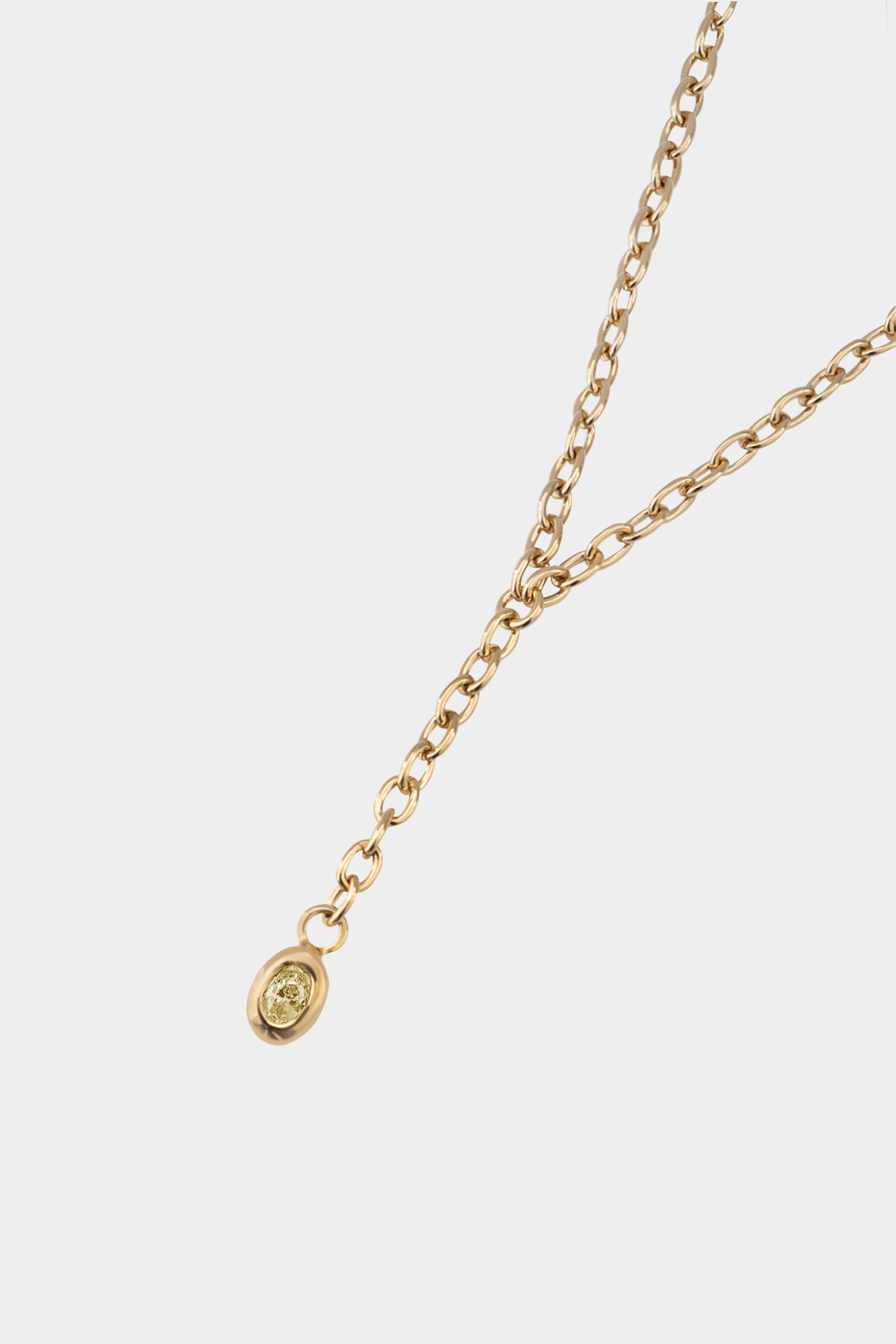 Ami Lariat Necklace