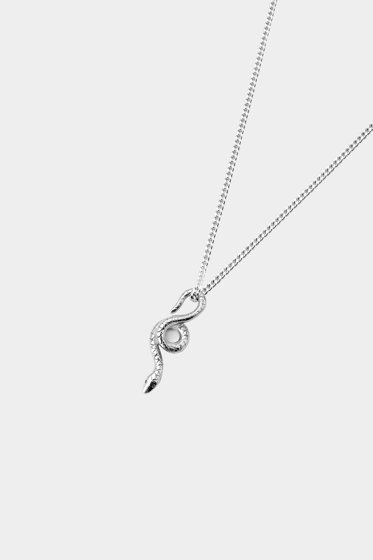 2025 Snake Charm