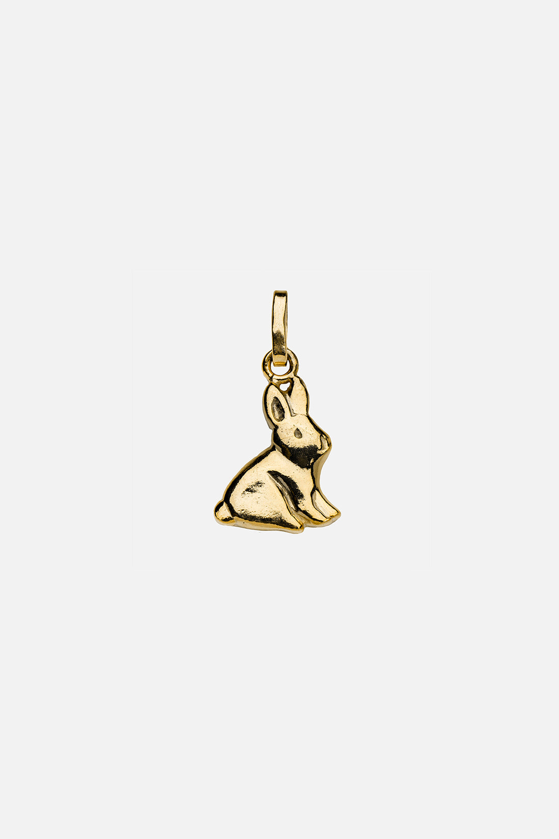 Year of the Rabbit – Kara Yoo