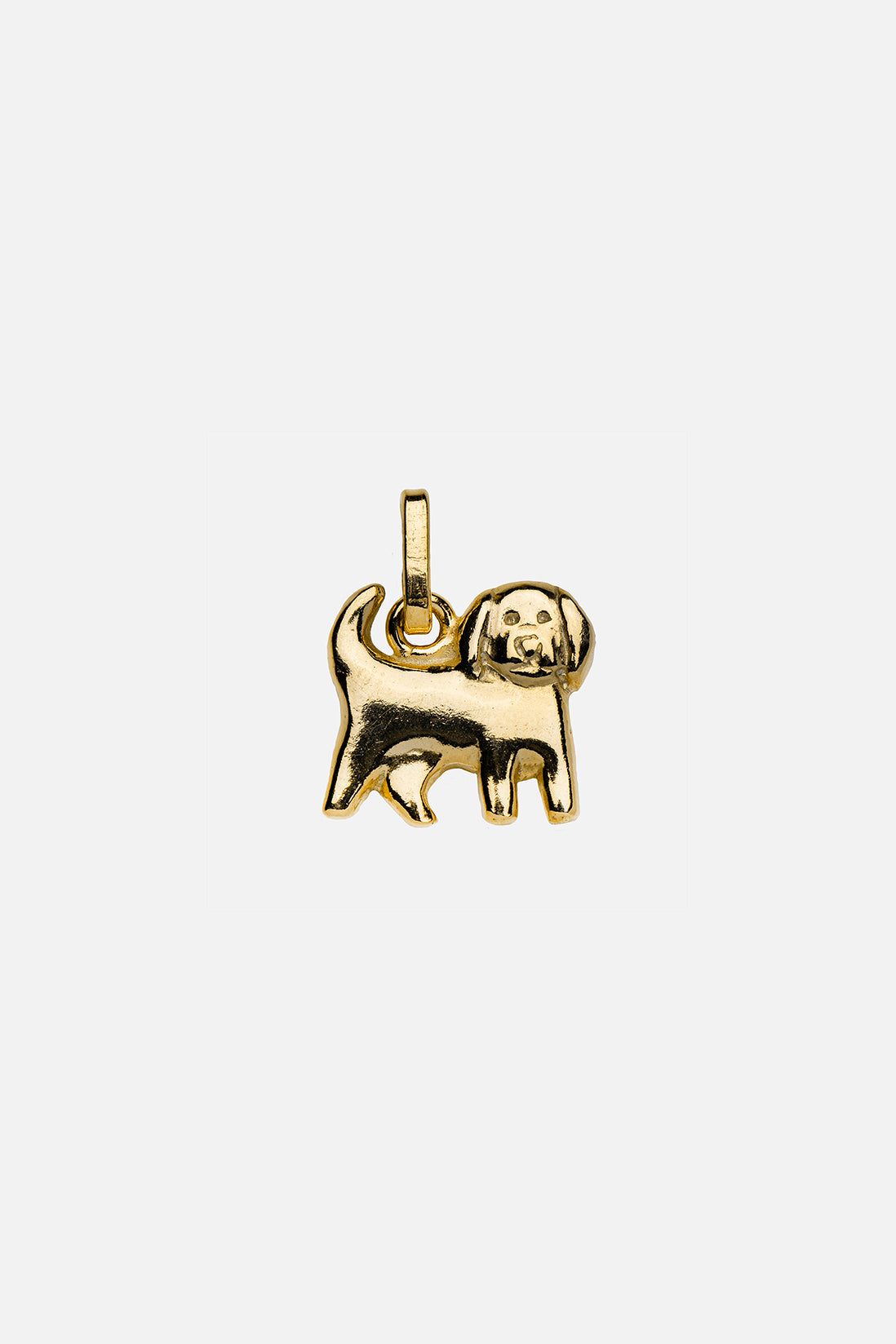 Year Dog