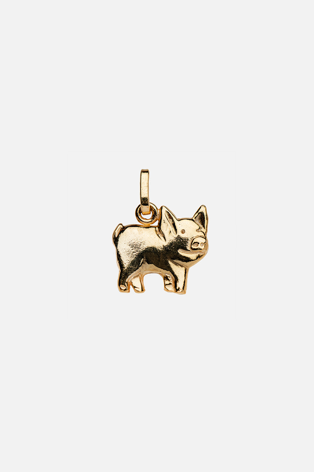 Year Pig
