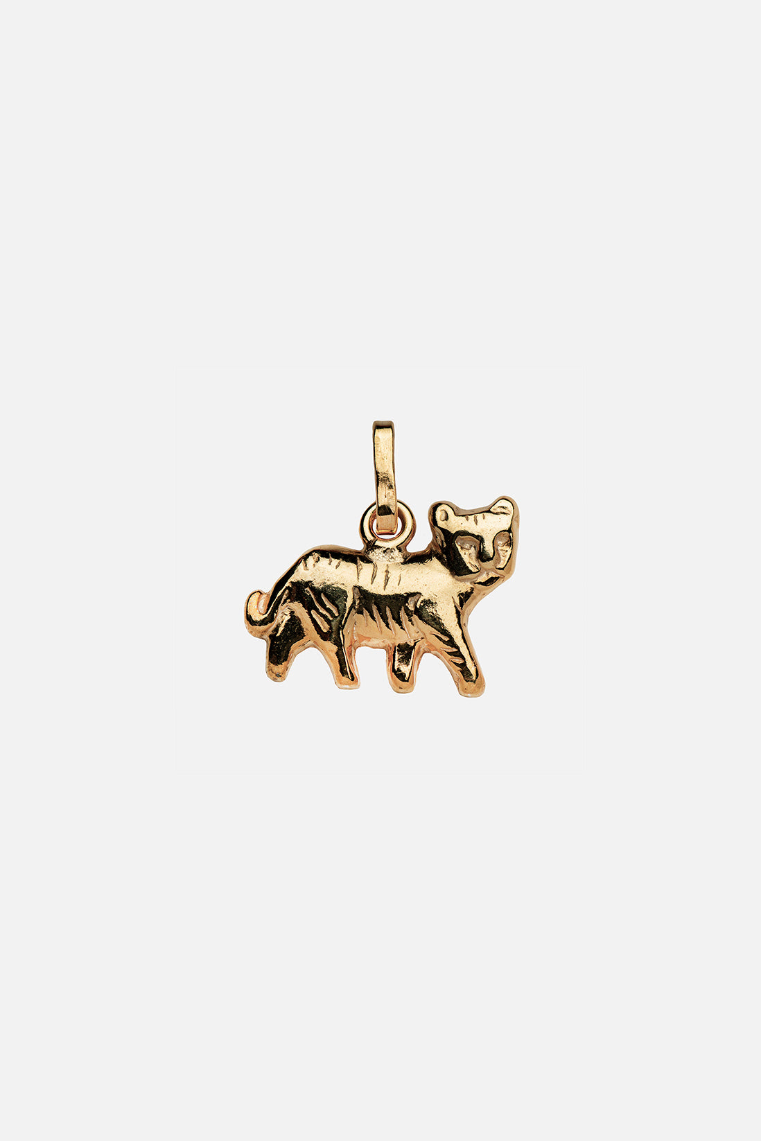 Year Tiger